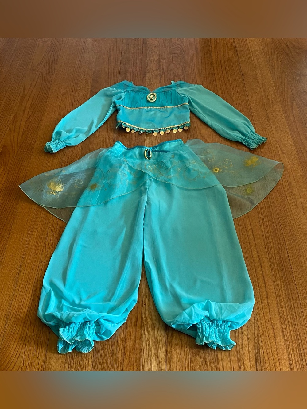 Disney Store Princess Jasmine Costume with Gold Accents - Picture 1 of 6